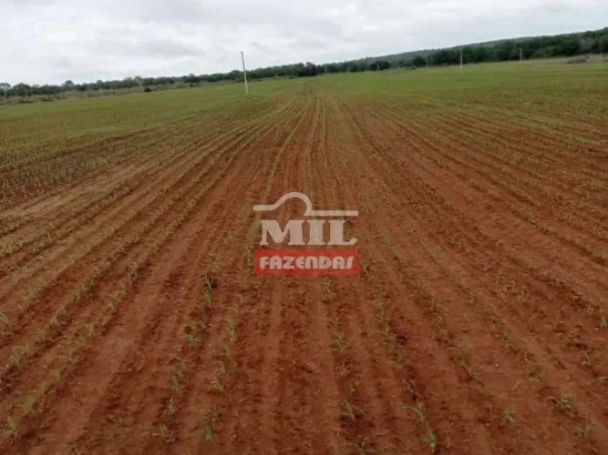 Fazenda em Figueirópolis - TO. Área Total: 177 Alqueires (856 Há).