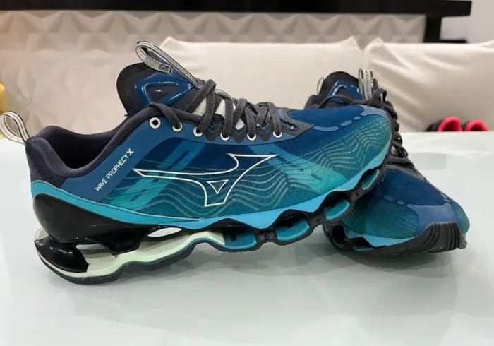 Mizuno wave prophecy x