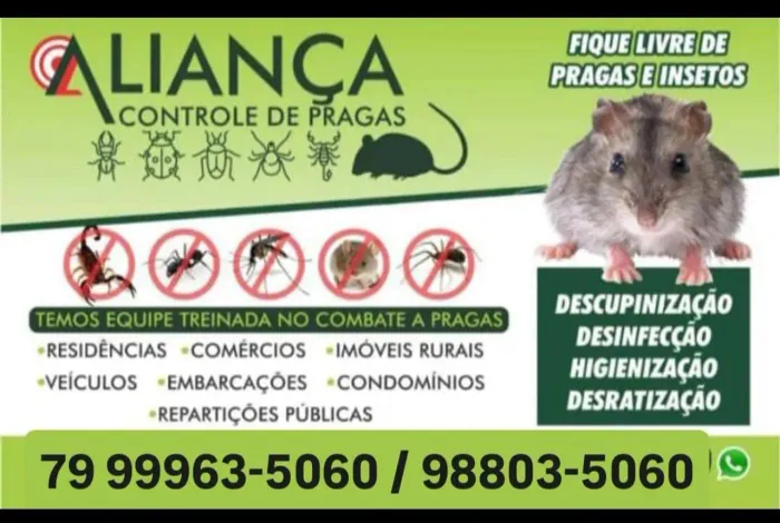 DEDETIZAÇÃO # DESRATIZAÇÃO 