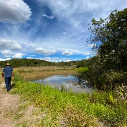 TERRENO 2 HA ESMERALDAS/PARÁ DE MINAS