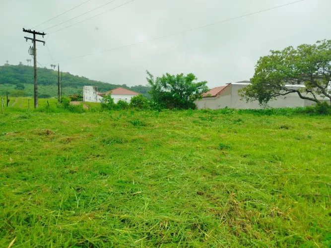 Vendo terrenos no distrito de Roma em Bananeiras