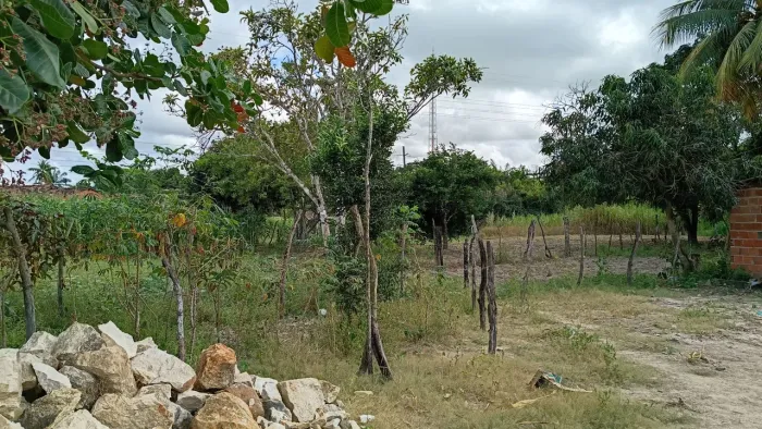 Vendo lotes em Maruim/SE