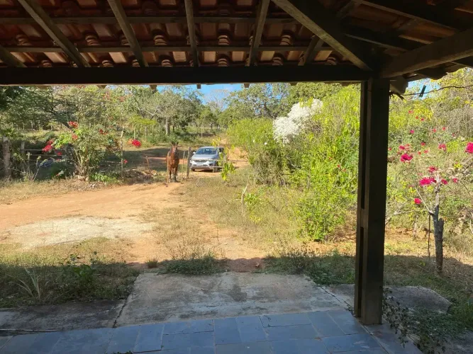 Fazenda 14 hectares codsburgo