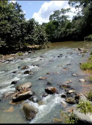 Vende-se uma excelente fazenda de 50 alqueireis.
