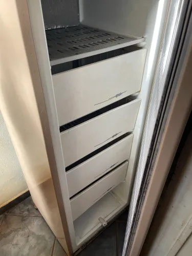 ? FREEZER VERTICAL ELECTROLUX F21 - 220V