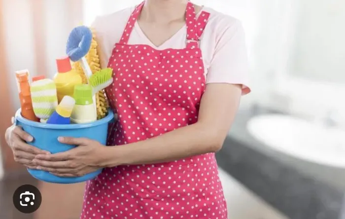 Serviços domésticos, babá, auxiliar do lar, viagens 