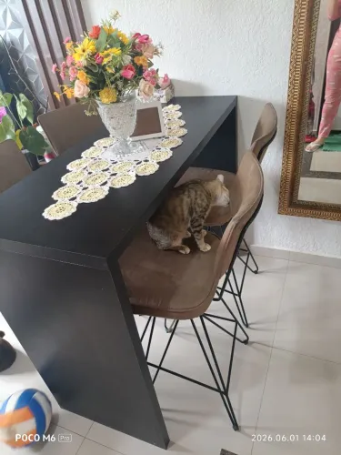 Bancada com Banquetas 