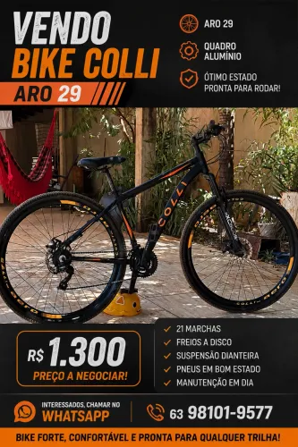 Bike Colli Aro 29