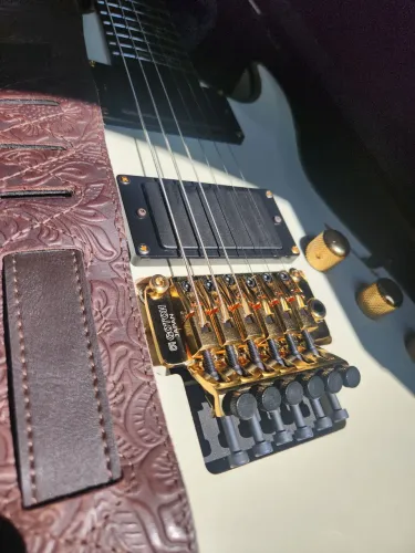 Guitarra Schecter Hellraiser C1-FR