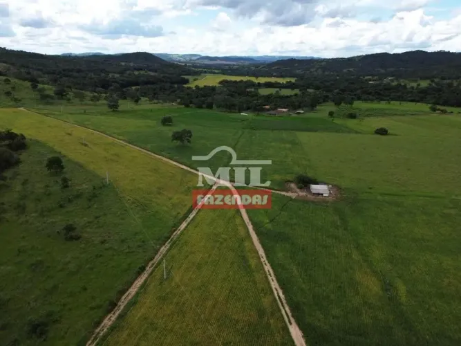 Fazenda 23 Alqueires (111,32 hectares) Varjão - GO