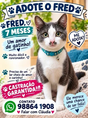 FRED (CINZA C BRANCO)
