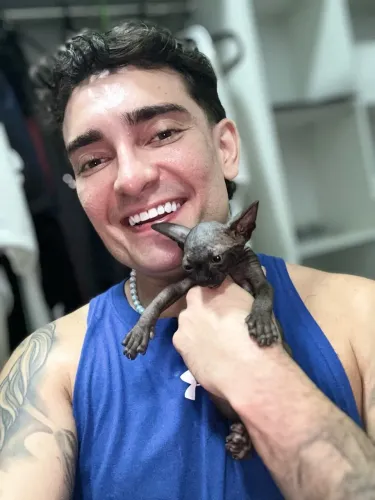 Sphynx 