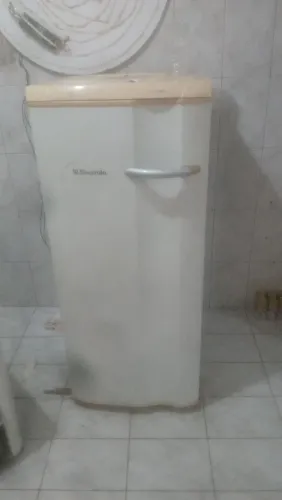 Frizer vertical