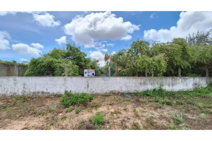 vendo terreno com localização Ideal em Pium: 2000m², Oportunidade Única" 15 minutos da pra