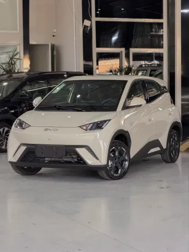 BYD Dolphin Mini (Elétrico) 2027