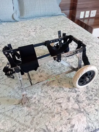 Cadeira De 4 Rodas Cachorro Tamanho M Andador