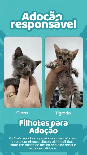 ADOÇÃO - DOAÇÃO RESPONSÁVEL