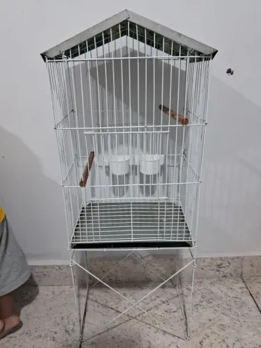 Gaiola passarinho