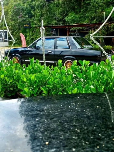 Ford Del Rey GLX 1.6/1.8 / GL 1.6/1.8 2P E 4P 1985