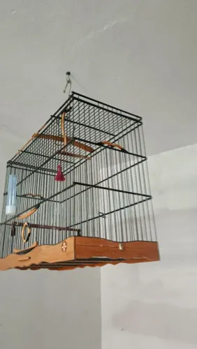 Gaiola para bigode semi nova apenas 300