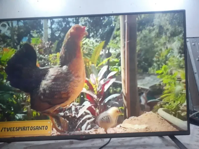 Tv 49"LG modelo 49lb5500