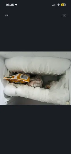 Geladeira leia anuncio