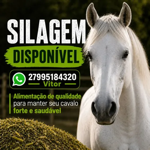 Silagem para Cavalos 