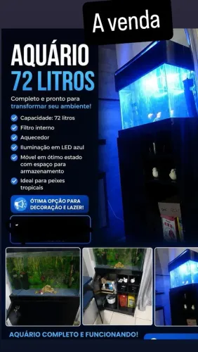 Aquário 72 litros