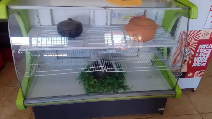 Vendo Balcão Refrigerado 220 volts perfeito estado