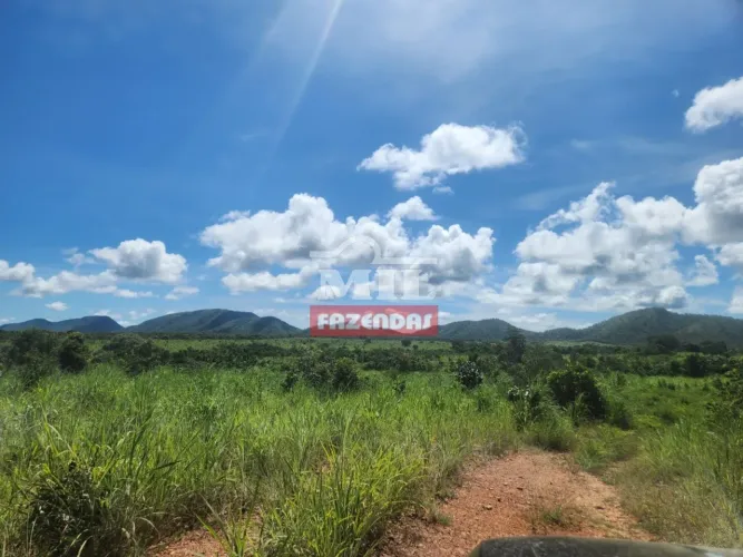 Arrendamento para pecuária - 300 alqueires (1452Ha) - Minaçu-go