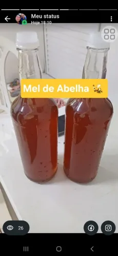 Vendo Mel de Abelha 