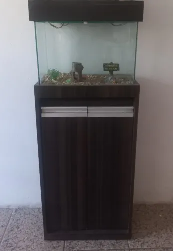 Aquário de 45 litros mais móvel