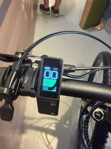 E.Bike, Oggi, 8.2, 2024, 466 km, Tm L.
