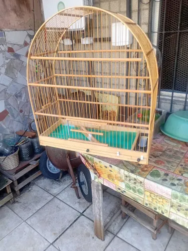 Gaiola seminova 