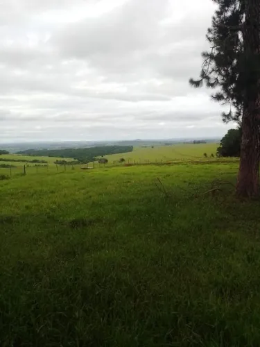 Fazenda Pecuária à Venda em Riversul, SP 285 Alqueires - Oportunidade Única!