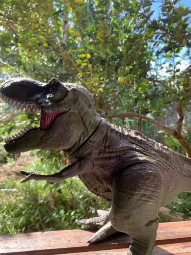 Dinossauros