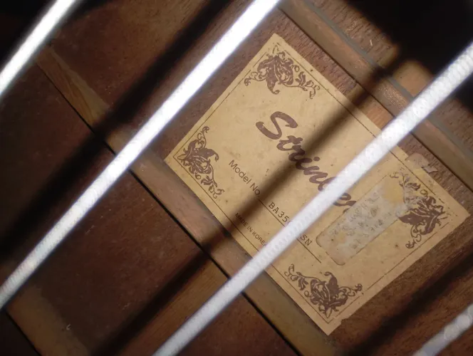 baixolão e violino 