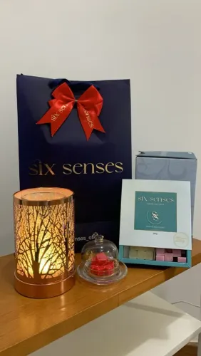 AROMATIZANTES: Sofisticação e aromas que transformam ambientes.