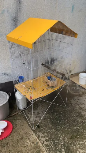 Gaiola boa viagem tá vender