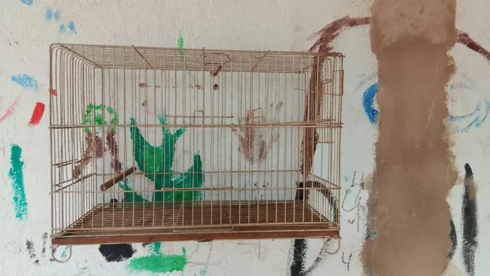 Gaiola de passarinho