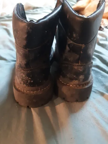 Bota