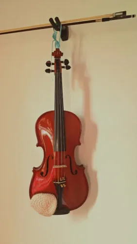 Violino 4/4 todo ajustado peças novas