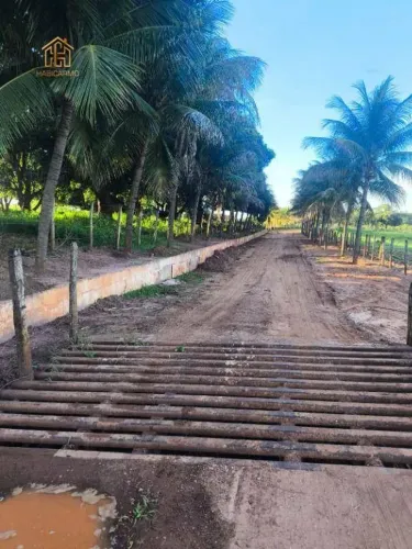 Sítio com 4 dormitórios à venda, 471900 m² por R$ 7.800.000,00 - Zona Rural - Monte Aprazí
