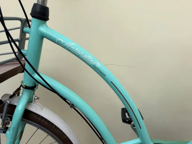 Bicicleta retrô vintage