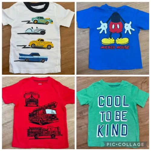 Kit 10 camisetas 2 anos