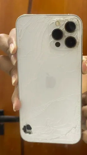 iPhone 12 Pro Max 
