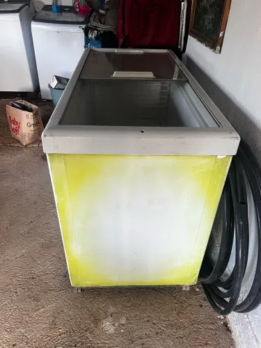 Freezer vertical