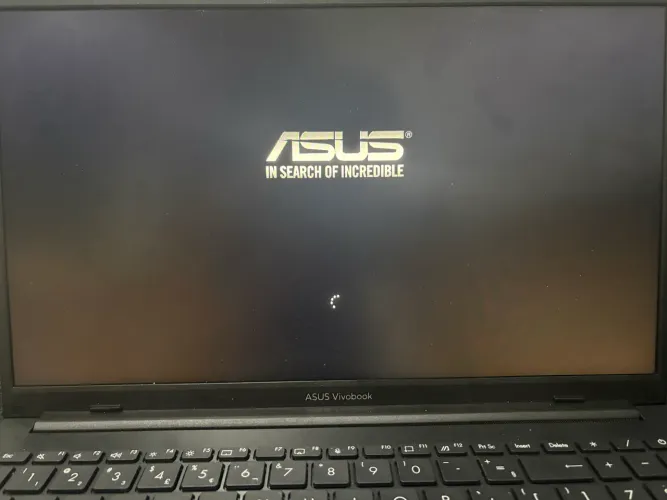ASUS VIVOBOOK GO 15