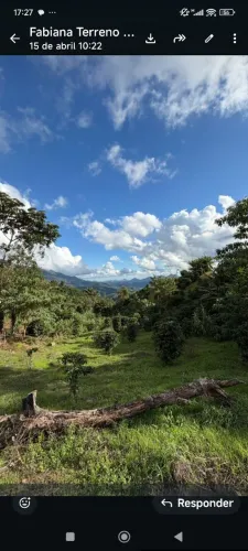 VENDO CHÁCARA EM PEDRA MENINA 