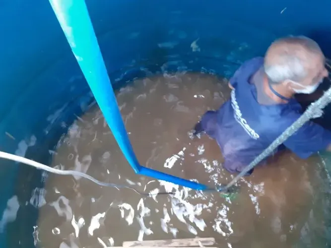 Auxiliar de Serviços Gerais para limpeza de caixa d Agua e dedetizador